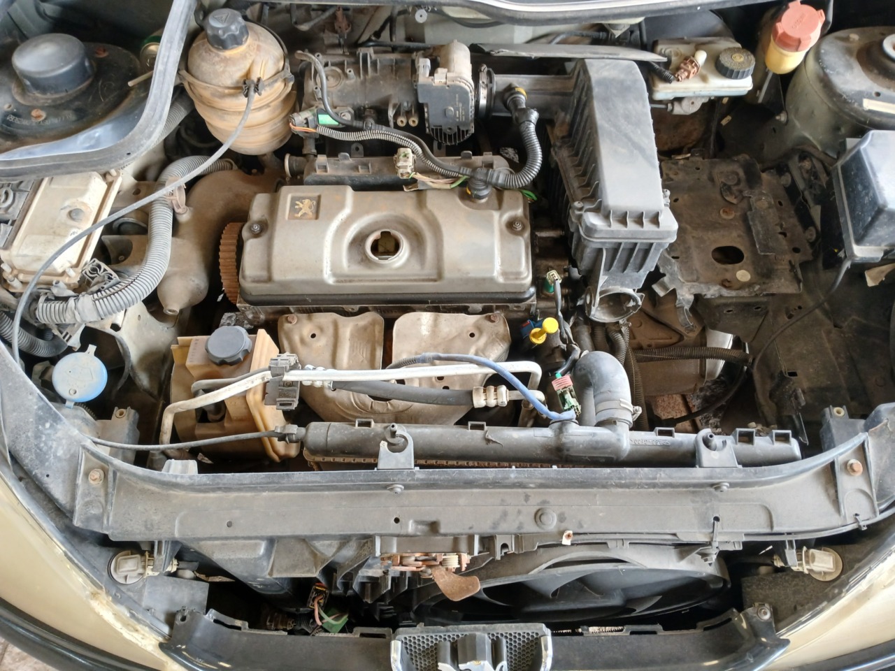 PEUGEOT/206 — foto 6 de 8