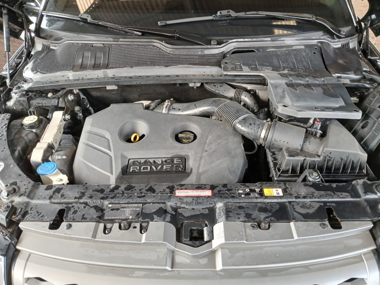 IMP LR/EVOQUE PURE P5D — foto 6 de 8