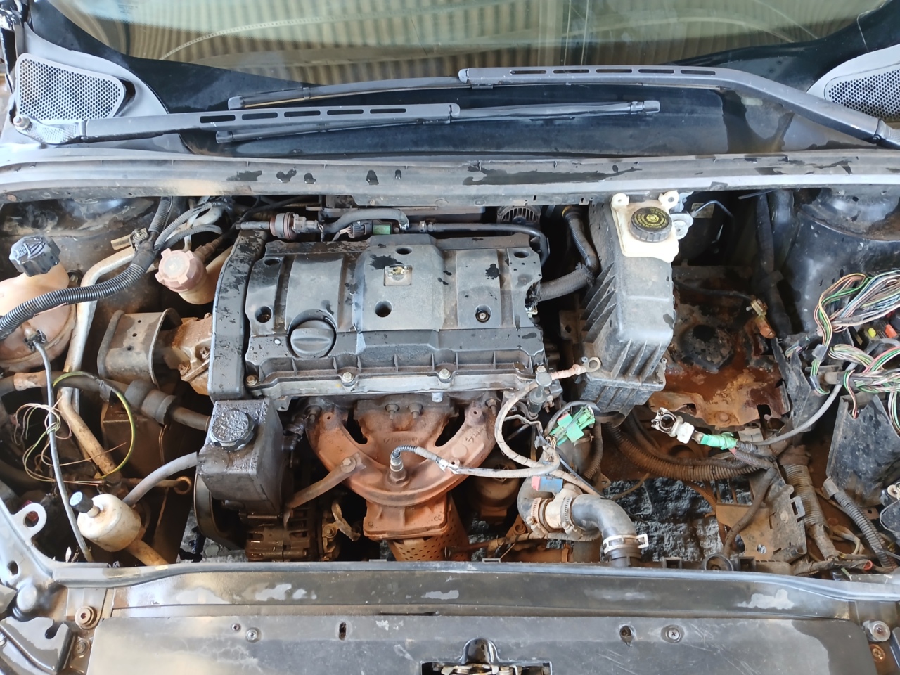 IMP PEUGEOT/307 16 FX PR — foto 6 de 8