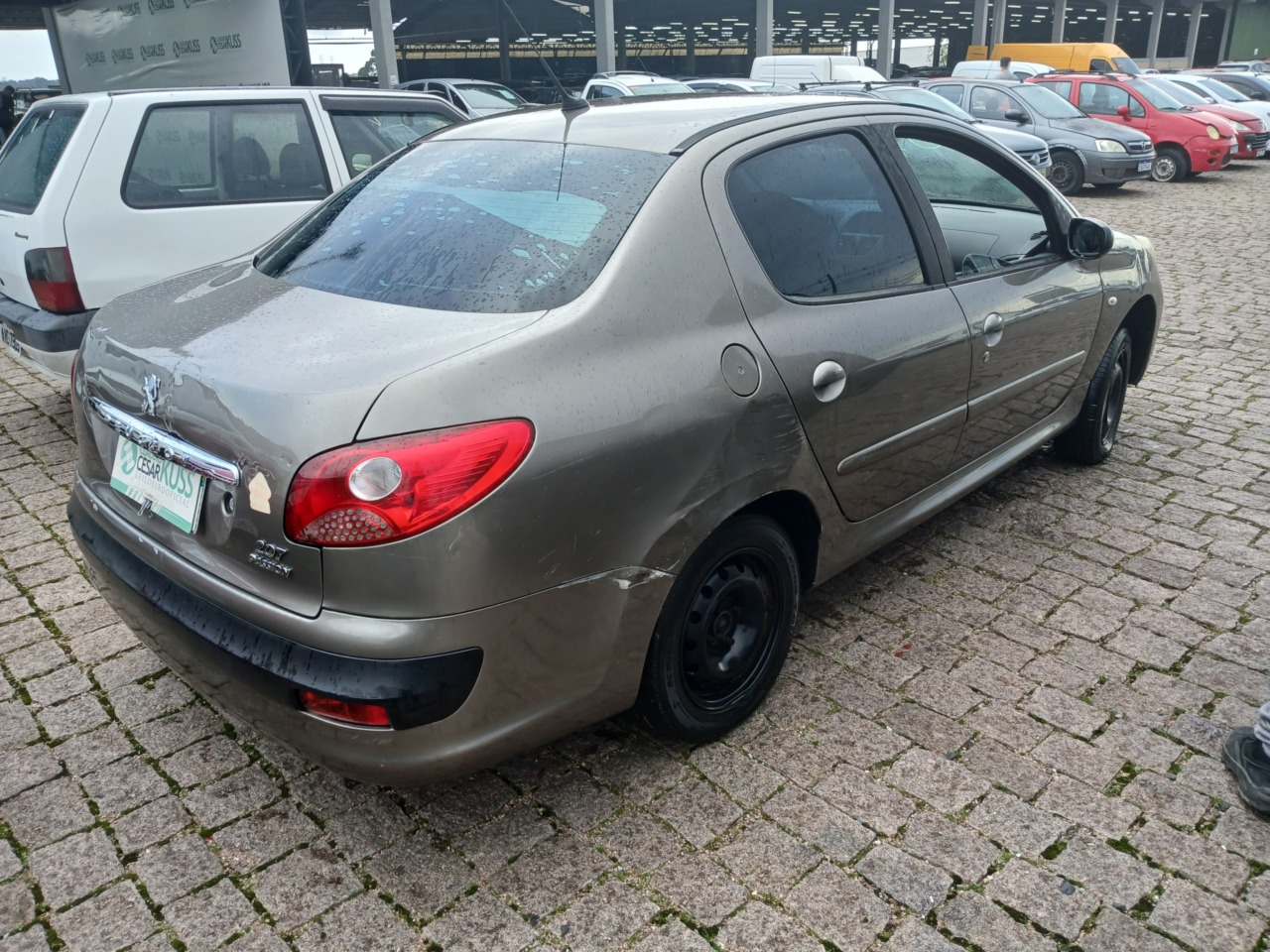 PEUGEOT/207 PASSION XR — foto do lote