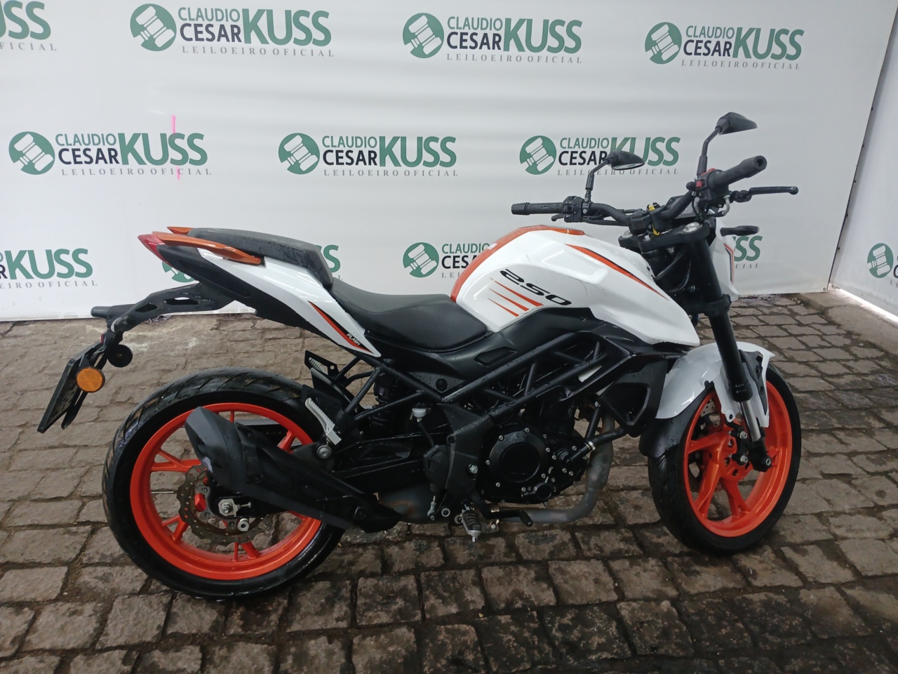 SHINERAY/XY 250-6B — foto do lote
