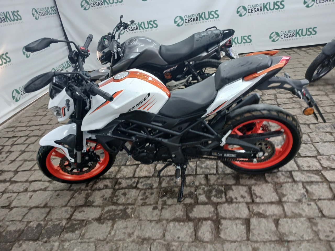 SHINERAY/XY 250-6B — foto do lote