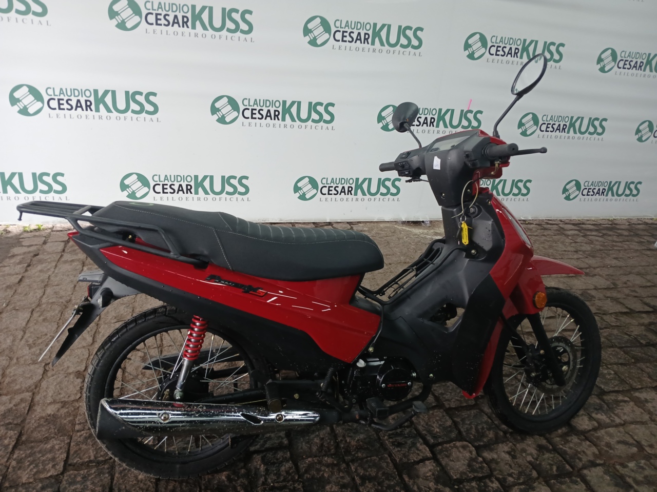 SHINERAY/50Q — foto do lote