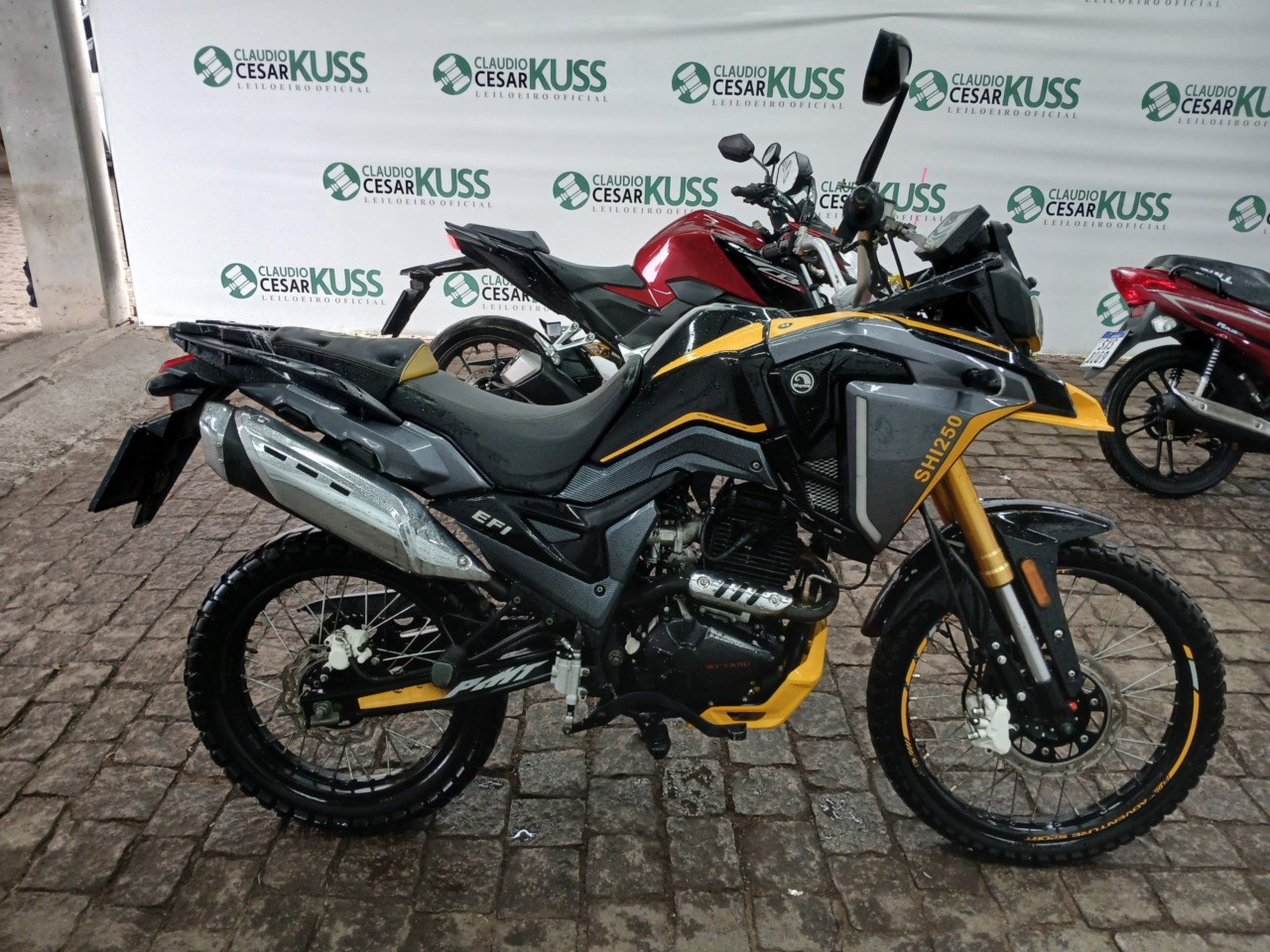 SHINERAY/XY 250-6B — foto do lote