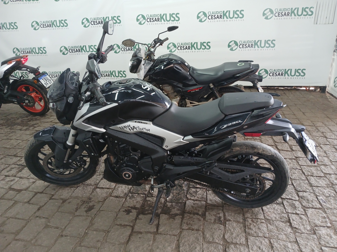 BAJAJ/DOMINAR D250