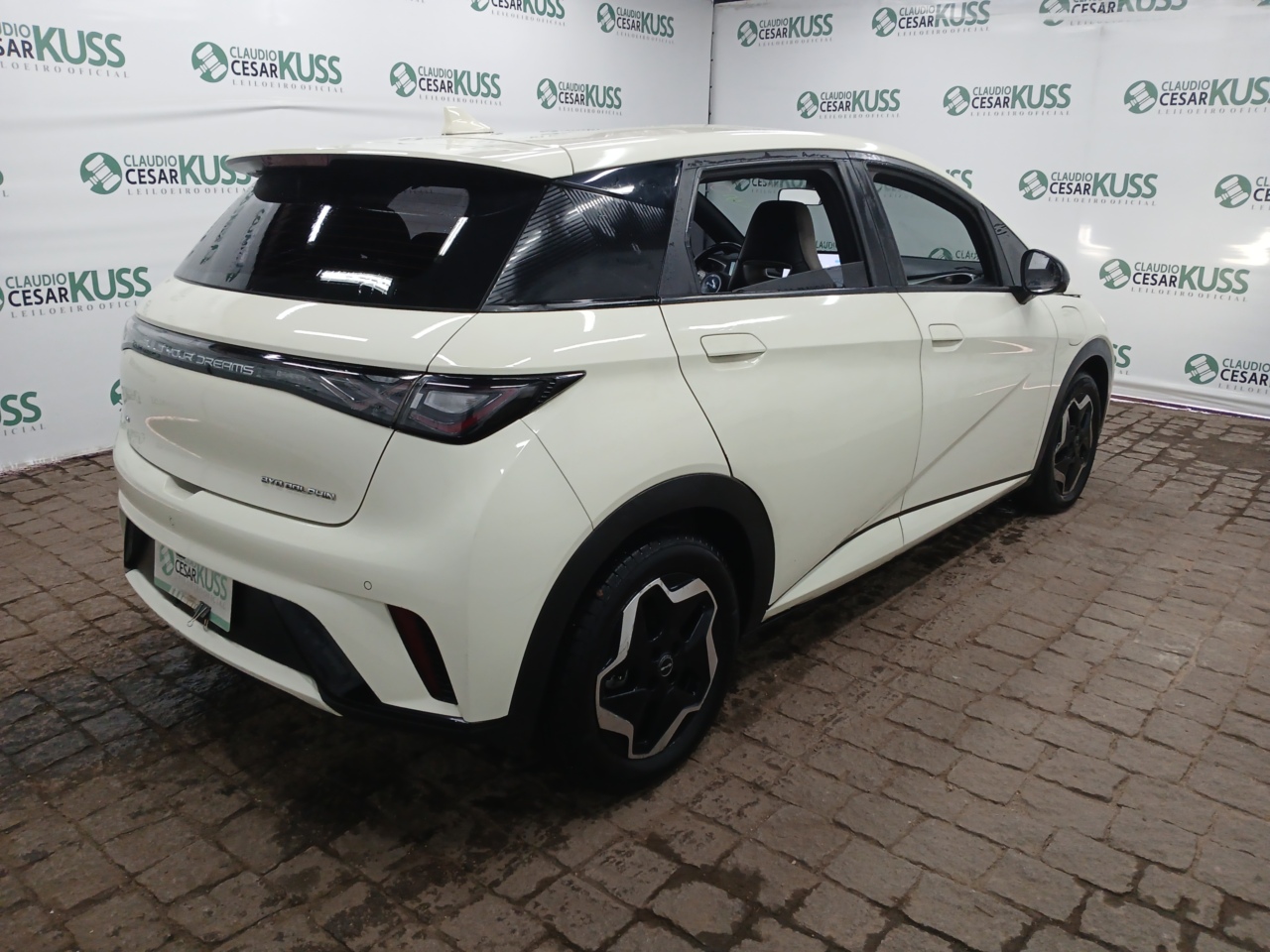 IMP BYD/DOLPHIN GS 180 EV — foto 3 de 8