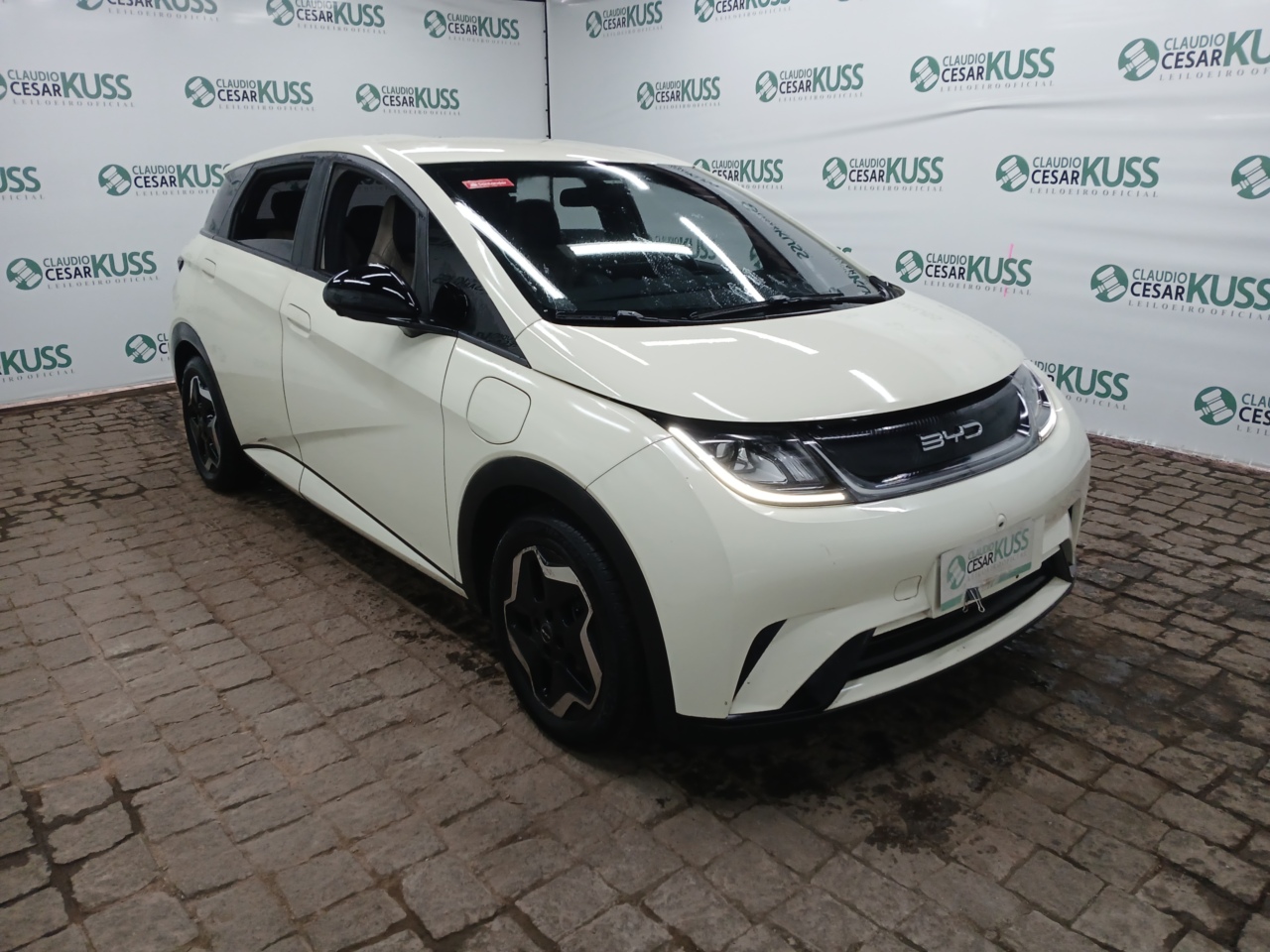 IMP BYD/DOLPHIN GS 180 EV — foto 4 de 8