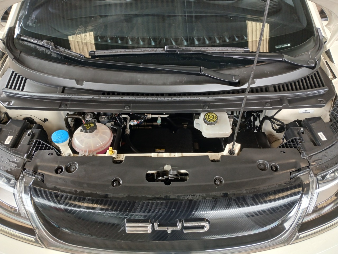 IMP BYD/DOLPHIN GS 180 EV — foto 6 de 8