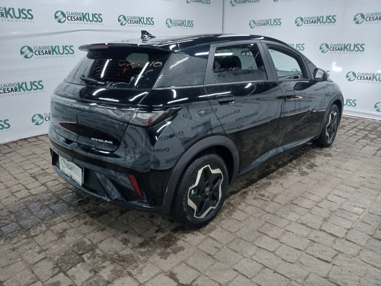 IMP BYD/DOLPHIN GS 180 EV — foto 3 de 8