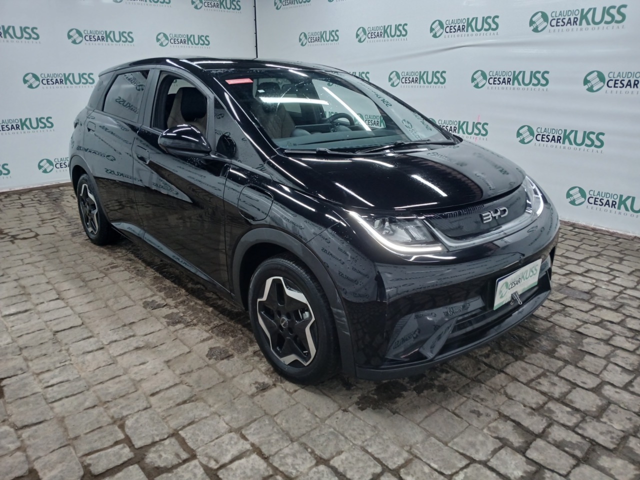 IMP BYD/DOLPHIN GS 180 EV — foto 4 de 8